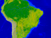 Brazil Vegetation 1600x1200